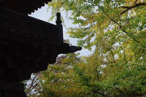 f0208490_1923246.jpg