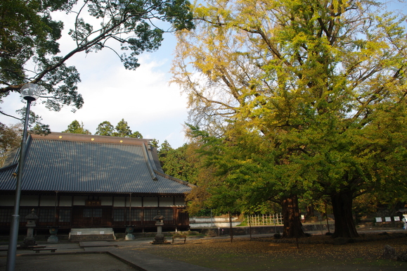 f0208490_19285918.jpg
