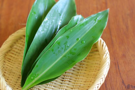 月桃茶 甘辛ノオト 旧 Haru 月桃茶 甘辛ノオト 旧 Haru