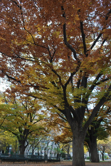 e0172592_12275293.jpg