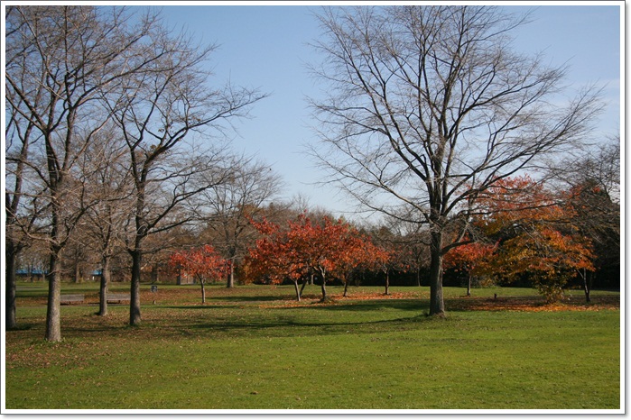 百合が原公園・その１_f0146493_1435256.jpg