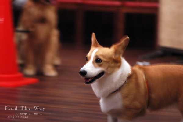 【wanこ】高山オフ 2011 vol.9 〜 貸し切りサロン_f0054594_17562155.jpg