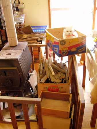 c0206596_202020100.jpg