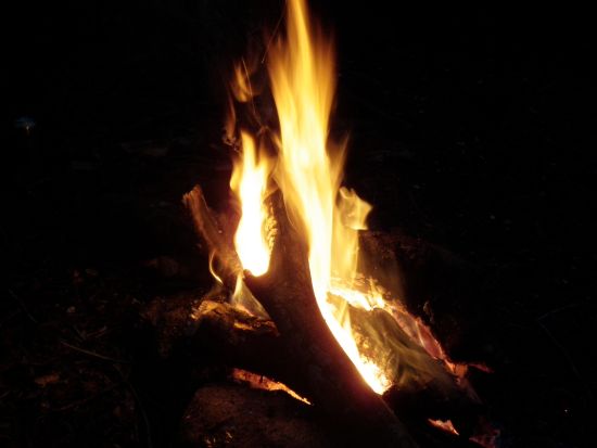 f0036700_17354966.jpg