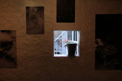 f0155808_96494.jpg