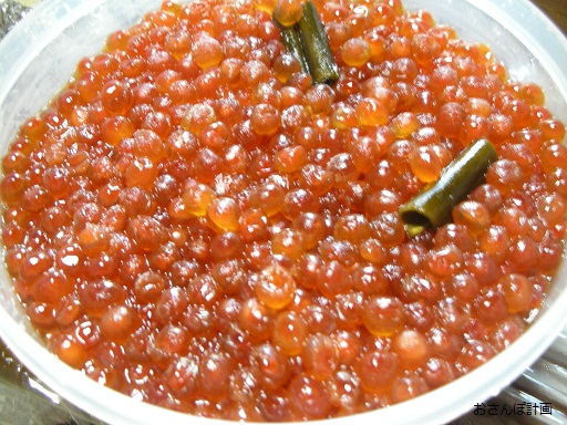a0183009_20561645.jpg