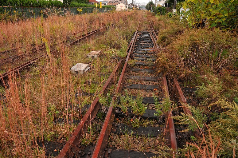 b0128609_11362868.jpg