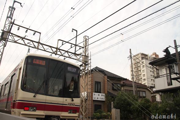 ひと駅散歩・明大前→下高井戸へ！_c0083210_7382843.jpg