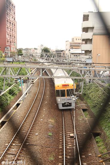 ひと駅散歩・明大前→下高井戸へ！_c0083210_7394052.jpg