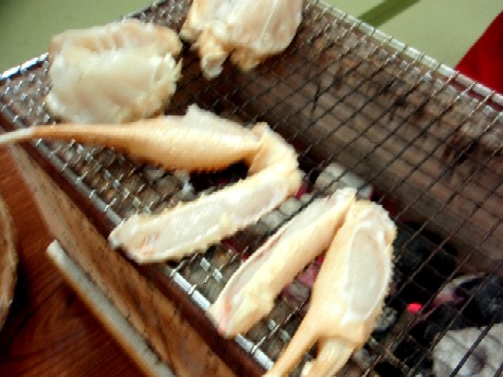 f0043911_17325580.jpg