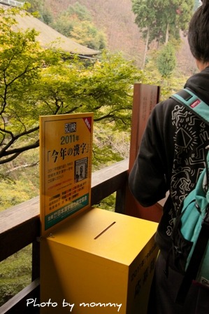 11/5 京都_a0169912_23182045.jpg