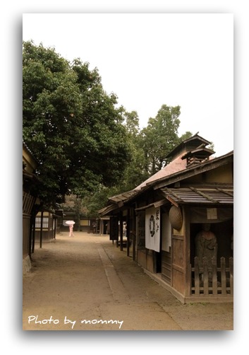 11/5 京都_a0169912_23194748.jpg