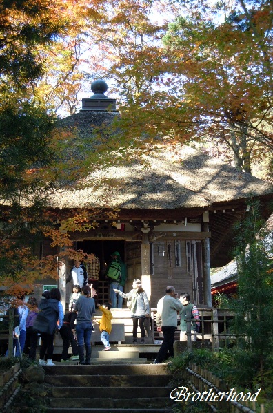 d0179113_22201138.jpg