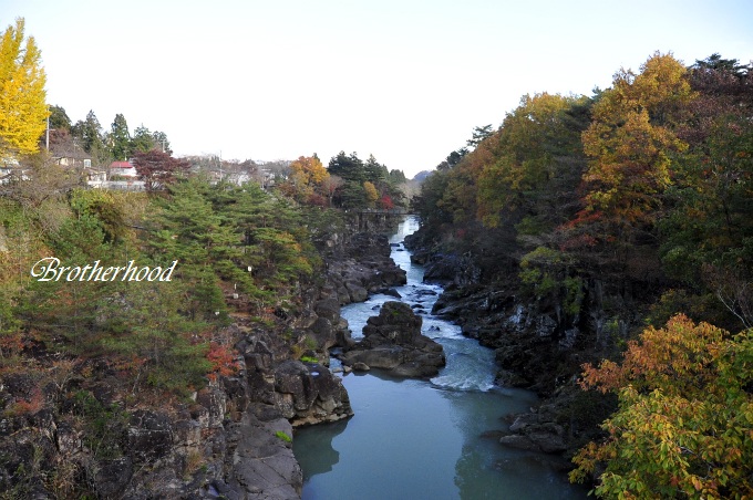 d0179113_22455111.jpg