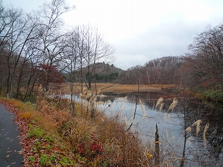 今日の矢ノ原湿原_c0189218_1846158.jpg