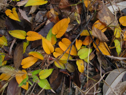 d0197620_0371471.jpg