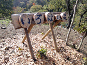 f0232920_13574098.gif