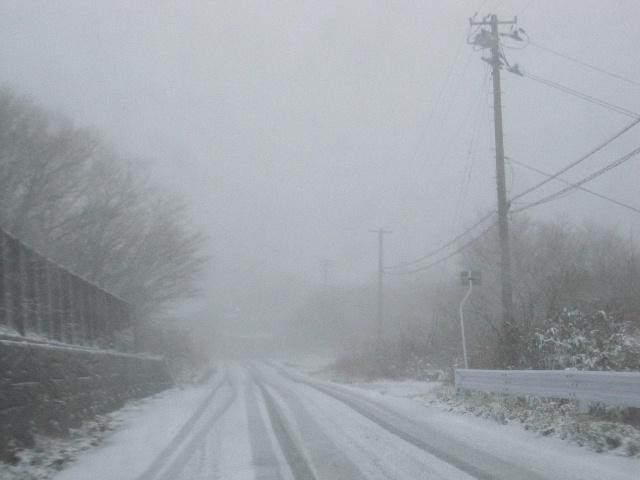 c0141223_19415177.jpg