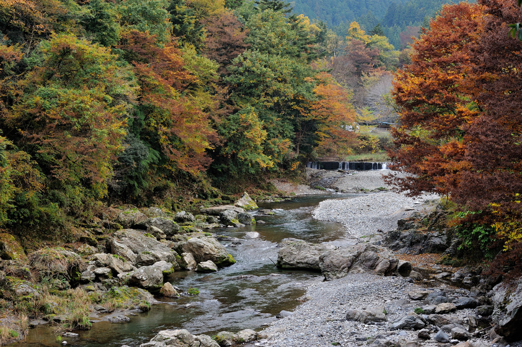 a0204730_10468.jpg