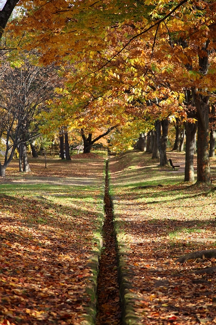 弘前公園（弘前城跡）紅葉フォト2011_e0168232_2102556.jpg