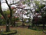 f0167635_85564.jpg
