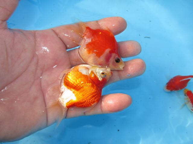 f0214235_0325365.jpg