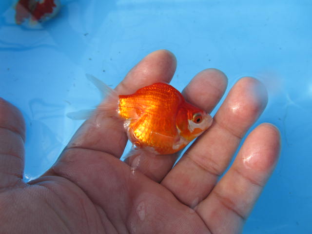 f0214235_0333445.jpg