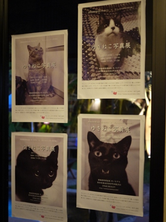 きょとん猫 のぇる編。_a0143140_23583269.jpg
