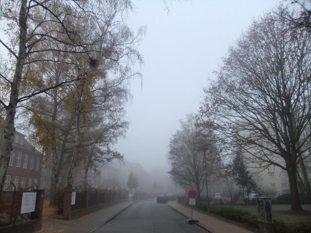 f0210340_58116.jpg