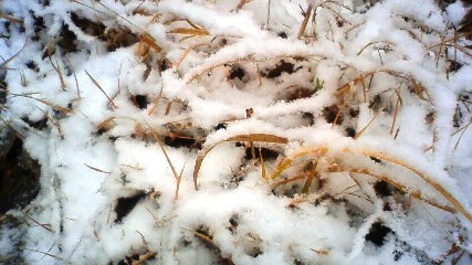 大覚野峠、初冠雪です_b0219741_100877.jpg