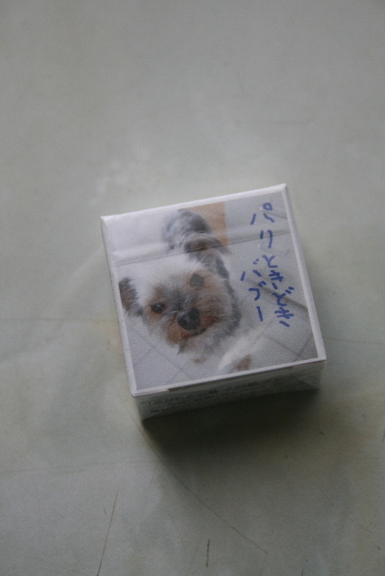 ぼわっと Boîte_f0082141_14414645.jpg