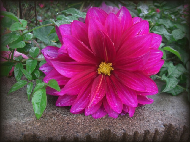 f0031546_20421982.jpg