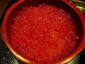 a0079948_915253.jpg