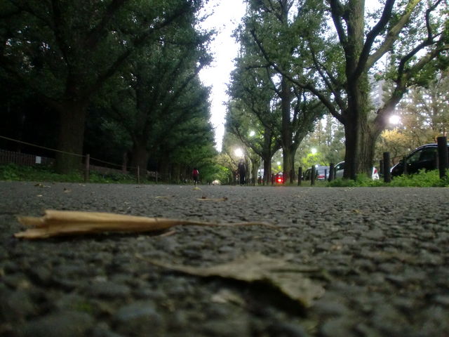 f0173549_41792.jpg