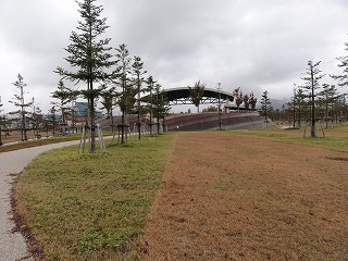 外は冷たい雨が降っています_a0084753_14395510.jpg
