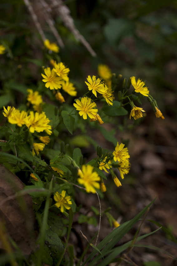 b0167256_2346395.jpg