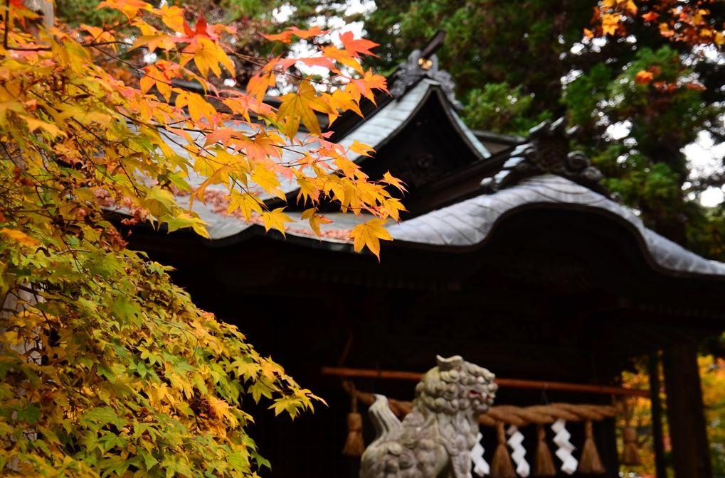 park2(岡谷市・出早雄小萩神社と出早公園２）_e0223456_9364260.jpg