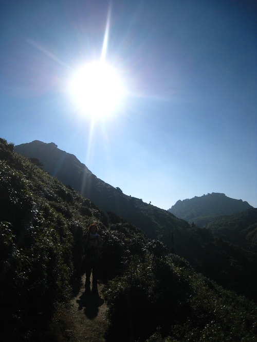 神様の山へ　宮之浦岳へ。_b0160957_733545.jpg