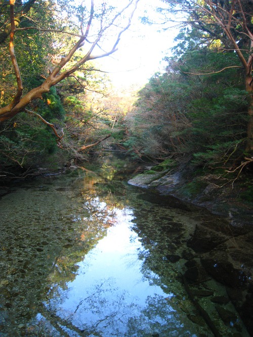 神様の山へ　宮之浦岳へ。_b0160957_746594.jpg