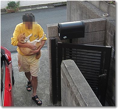 お姫様抱っこ 番犬ハナとmix犬サクのおさんぽ毎日 お姫様抱っこ 番犬ハナとmix犬サクのおさんぽ毎日