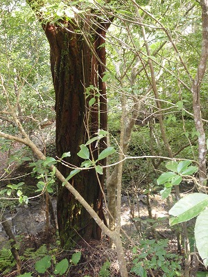 c0180460_20323359.jpg