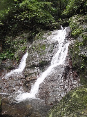 c0180460_21143340.jpg