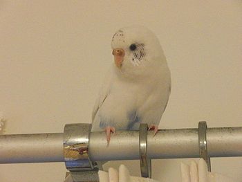f0196665_02136.jpg