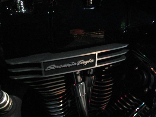 a0181071_1853534.jpg