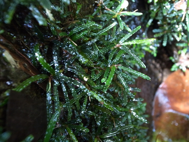 a0067578_8361851.jpg