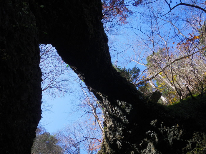 晩秋の沢登り 鳴虫沢 ～ ２０１１年１１月１０日_f0170180_11183996.jpg