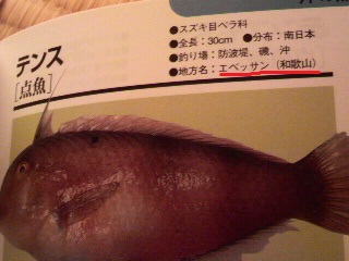 魚の地方名２_f0228680_948381.jpg