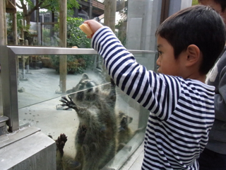 a0091181_18362730.jpg