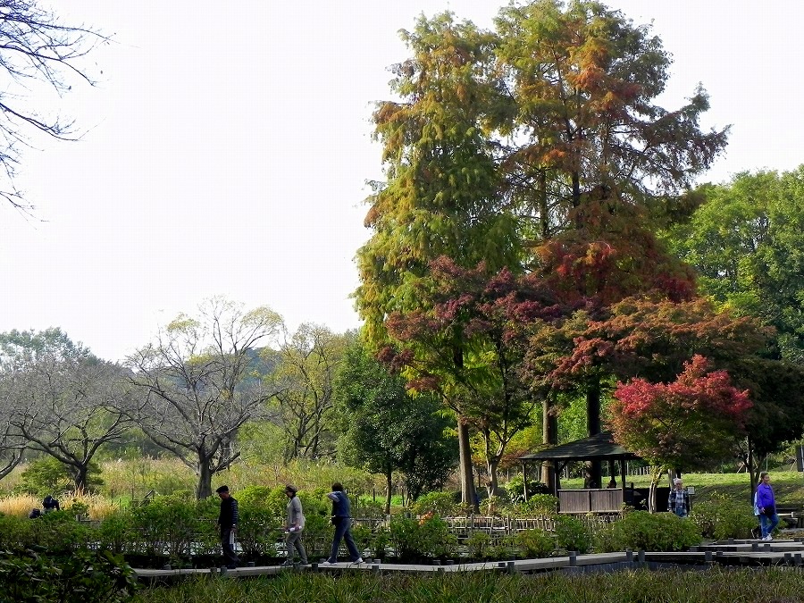 c0187781_92686.jpg