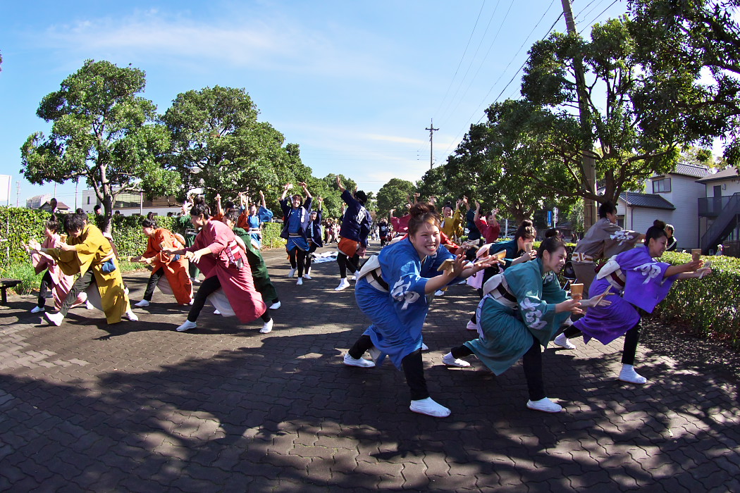 岐阜聖徳学園大学 柳＠東海秋まつり2011_c0187584_20492175.jpg